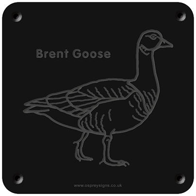 'Brent goose' rubbing plaque