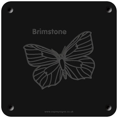 'Brimstone butterfly' rubbing plaque