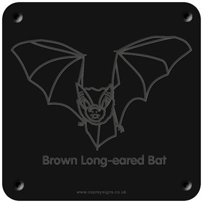 'Brown long-eared bat' rubbing plaque