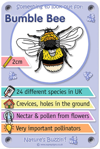 Nature's Buzzin' 'Bumble Bee'