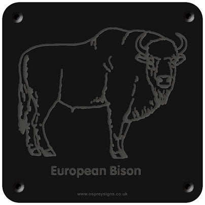 'European bison' rubbing plaque