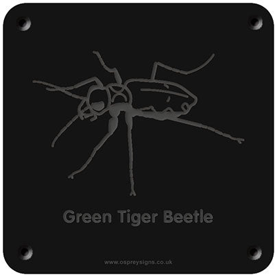 'Green tiger beetle' rubbing plaque