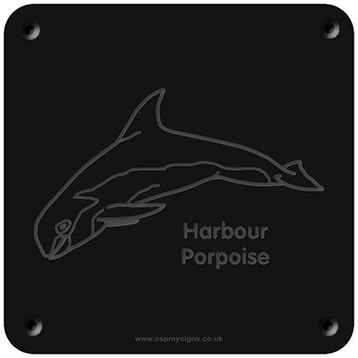 'Harbour porpoise' rubbing plaque