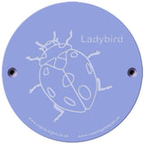 Rainbow Rubbing 'Ladybird'