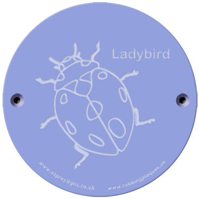 Rainbow Rubbing 'Ladybird'