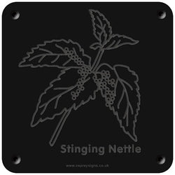 'Stinging nettle' rubbing plaque