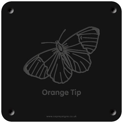 'Orange tip' rubbing plaque