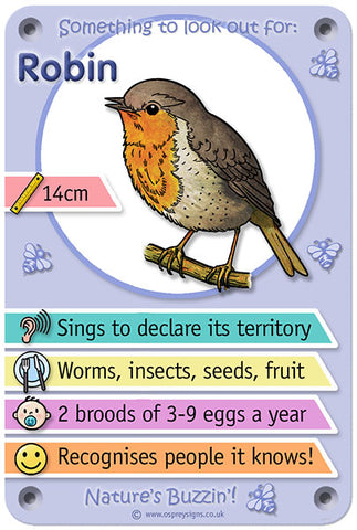 Nature's Buzzin' 'Robin'