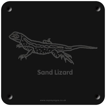 'Sand lizard' rubbing plaque
