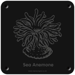 'Sea anemone' rubbing plaque