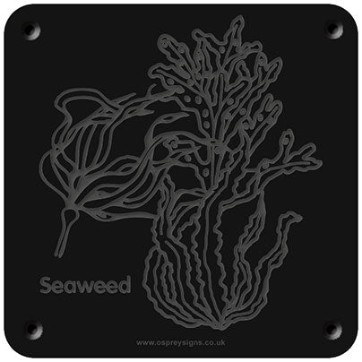 'Seaweed' rubbing plaque