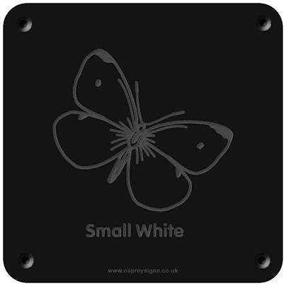 'Small white butterfly' rubbing plaque