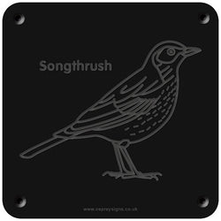 'Songthrush' rubbing plaque