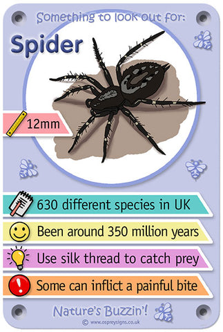 Nature's Buzzin' 'Spider'