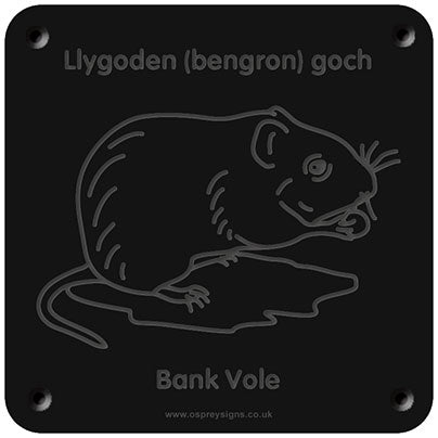 Welsh 'Bank vole' rubbing plaque