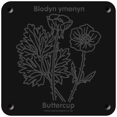 Welsh 'Buttercup' rubbing plaque