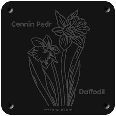 Welsh 'Daffodil' rubbing plaque
