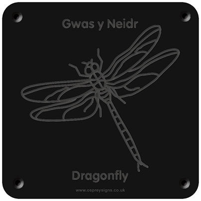 Welsh 'Dragonfly' rubbing plaque