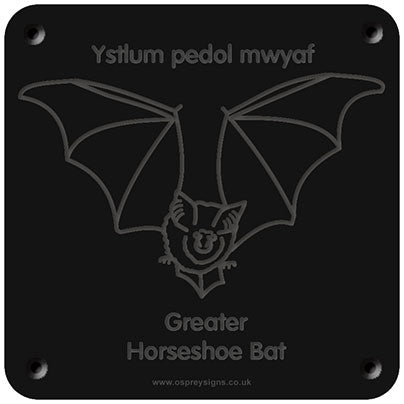 Welsh 'Greater horseshoe bat' rubbing plaque