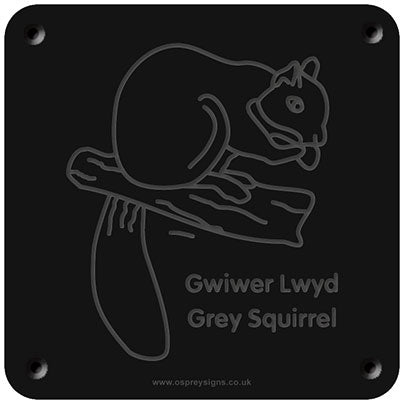 Welsh 'Grey squirrel' rubbing plaque