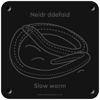 Welsh 'Slow-worm' rubbing plaque