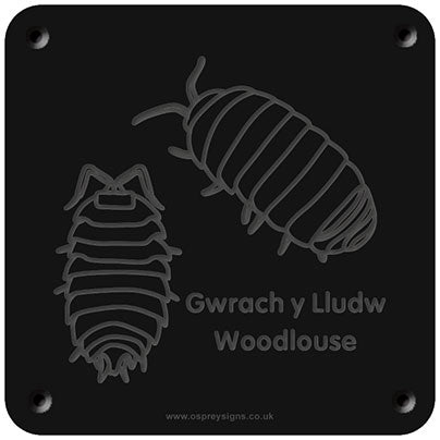 Welsh 'Woodlouse' rubbing plaque