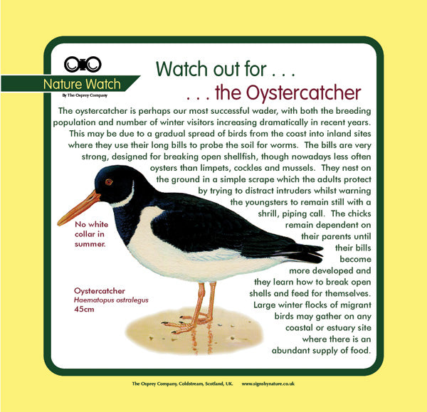 'Oystercatcher' Nature Watch Panel Osprey Signs