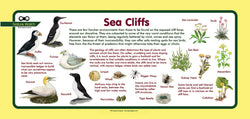 'Sea Cliffs' Nature Watch Plus Panel