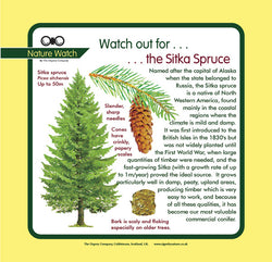 'Sitka spruce' Nature Watch Panel