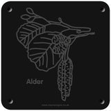'Alder' rubbing plaque