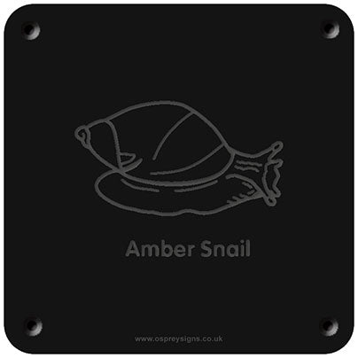 'Amber Snail' rubbing plaque