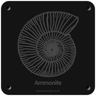 'Ammonite' rubbing plaque