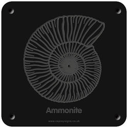 'Ammonite' rubbing plaque