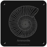 'Ammonite' rubbing plaque