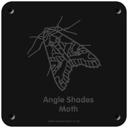 'Angle shades moth' rubbing plaque