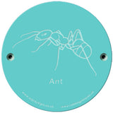 Rainbow Rubbing 'Ant'