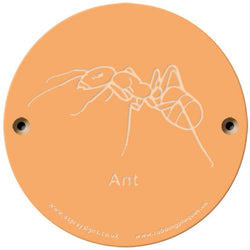 Rainbow Rubbing 'Ant'