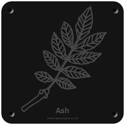 'Ash' rubbing plaque