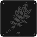 'Ash' rubbing plaque