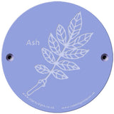 Rainbow Rubbing 'Ash'