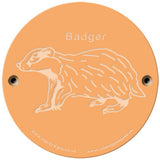 Rainbow Rubbing 'Badger'