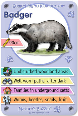 Nature's Buzzin' 'Badger'