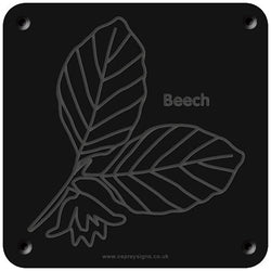 'Beech' rubbing plaque