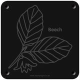 'Beech' rubbing plaque