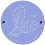 Rainbow Rubbing 'Beech'