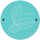 Rainbow Rubbing 'Beech'