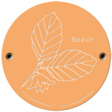 Rainbow Rubbing 'Beech'