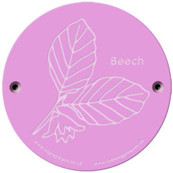 Rainbow Rubbing 'Beech'
