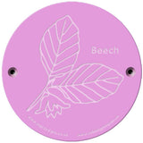 Rainbow Rubbing 'Beech'