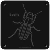 'Beetle' rubbing plaque